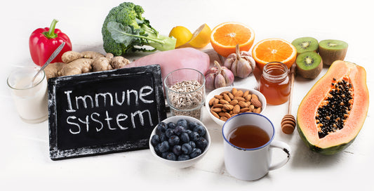 Immune System Support Benefits
