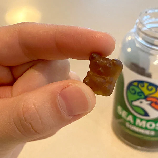 Seaside Sea Moss Gummies