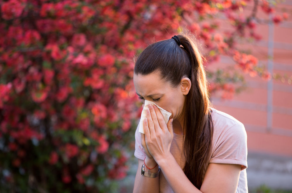 How Echinacea Can Help with Allergies