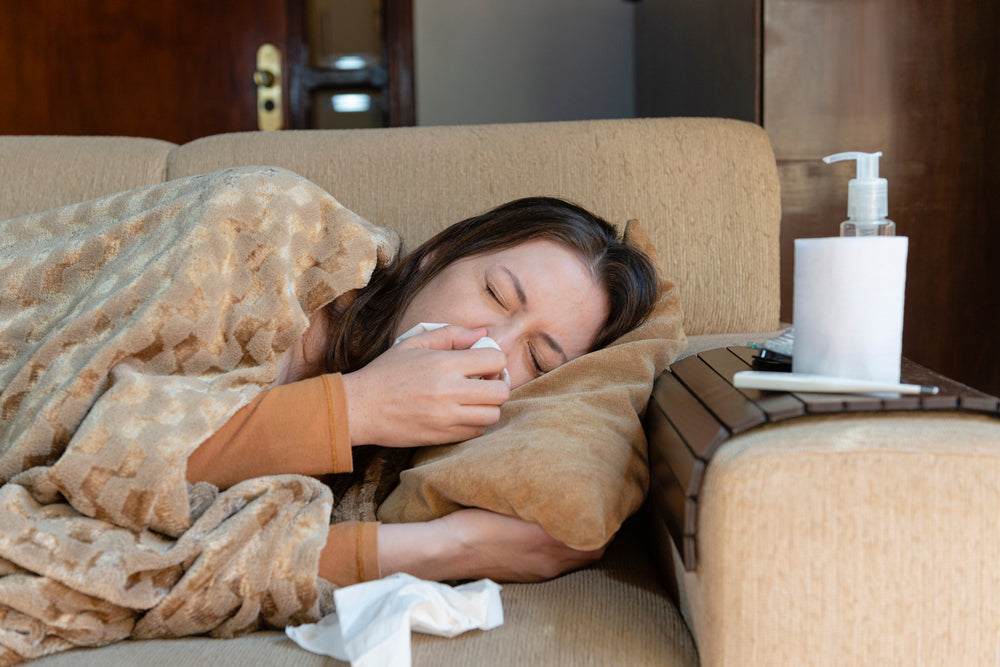 How echinacea can help with colds