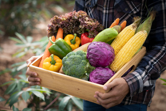 Organic Fruits and Vegetables in Vegan Magnesium Gummies