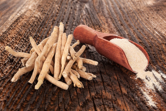 How Does Ashwagandha Help With Stress?
