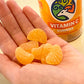 Citrus Vitamin C Gummies